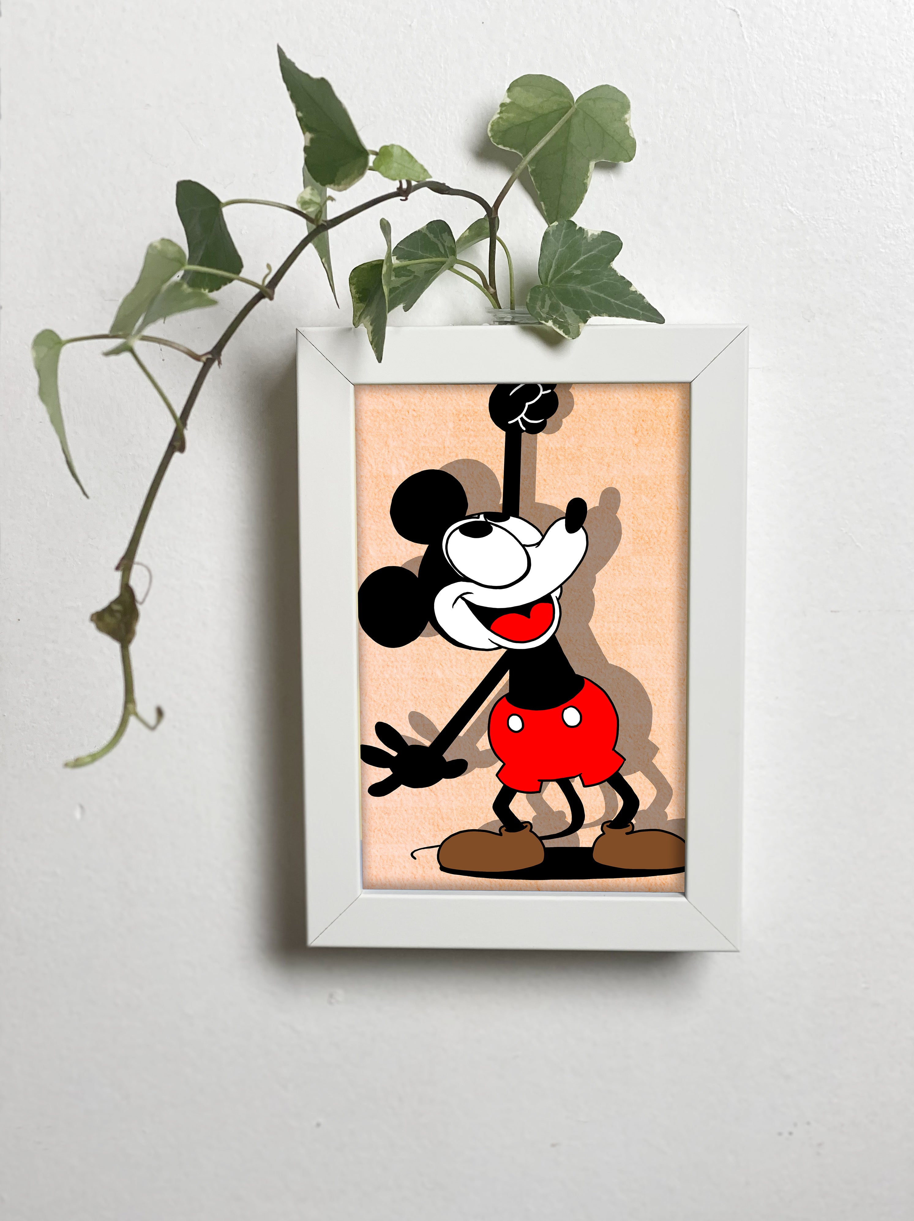 Abracadavase - Cadre vase Mickey  10X15
