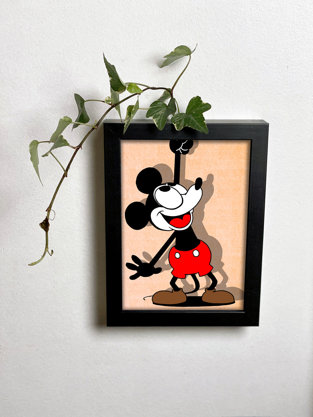 Abracadavase - Cadre vase Mickey 13X18