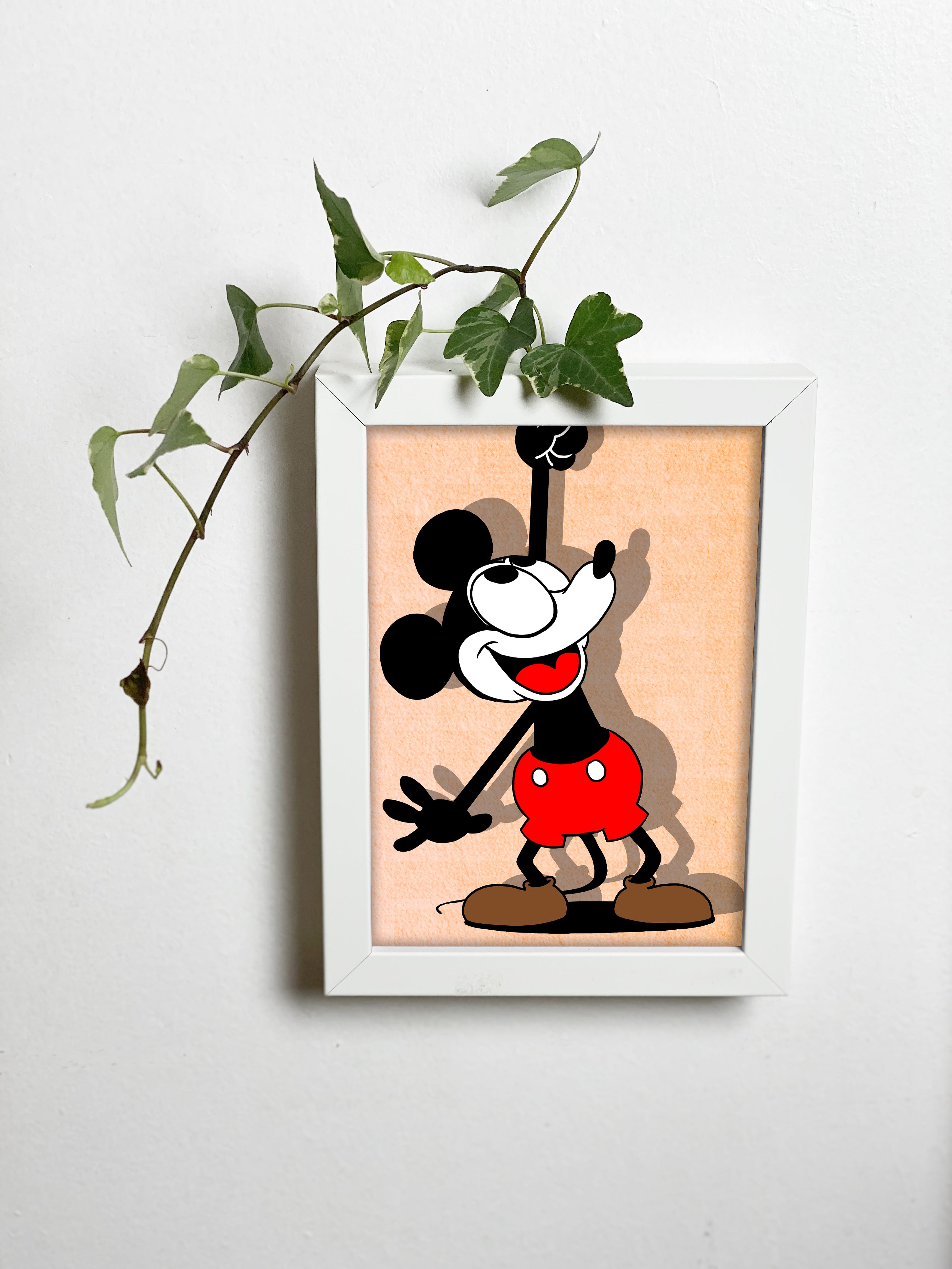 Abracadavase - Cadre vase Mickey 13X18