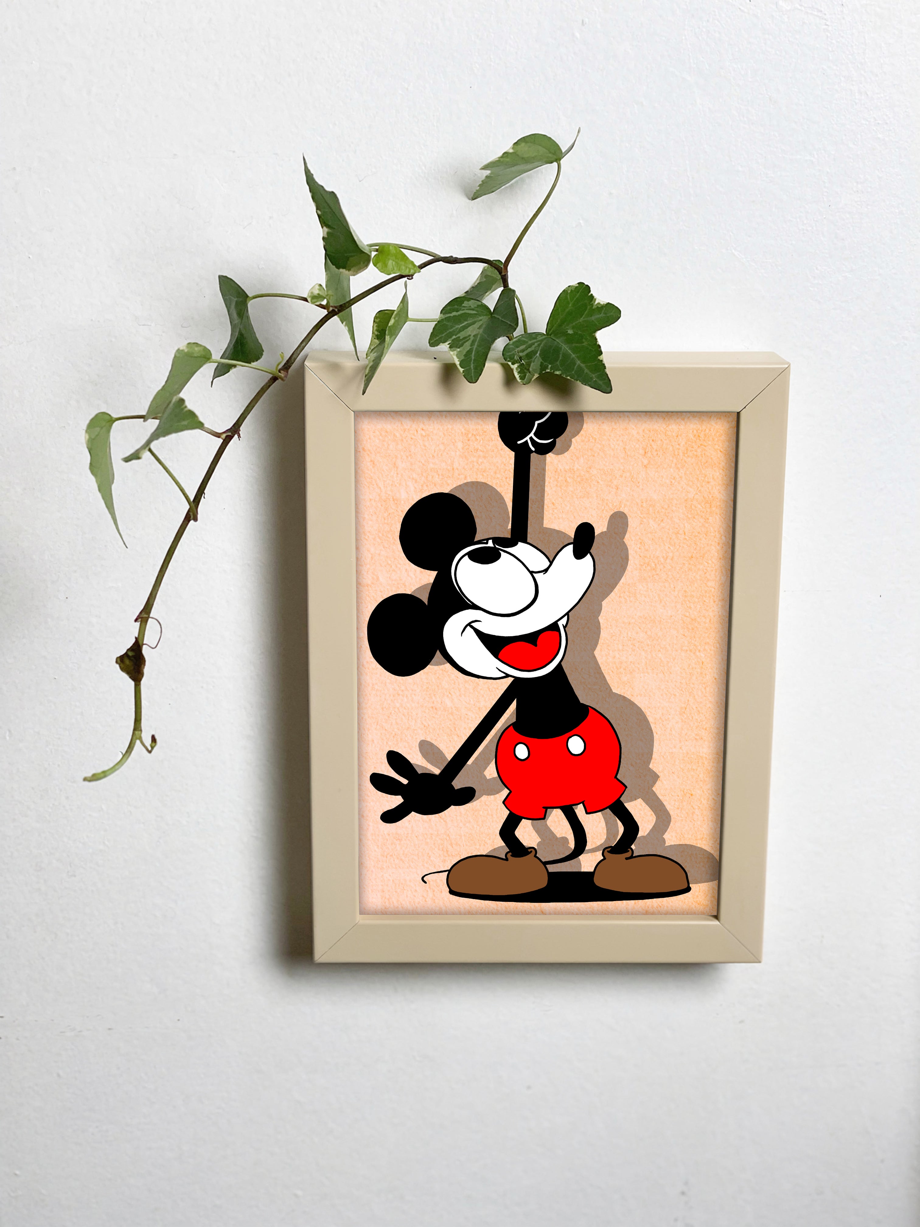 Abracadavase - Cadre vase Mickey 13X18