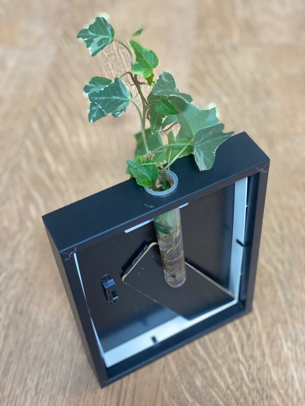 Abracadavase - Cadre vase GOLDORAK 13X18