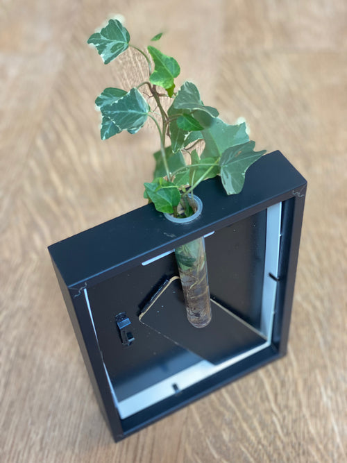 Abracadavase - Cadre vase GOLDORAK 10X15